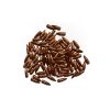 1000 OGIVES GGG .224 FMJ 55gr, GGG, ogives, .223 Remington, 5.56 NATO, .224, FMJ, 55 grains, 3.56g, rechargement, tir sportif, précision, pénétration, plomb, tombac.