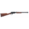Carabine à pompe ROSSI GALLERY BOIS 22lr, ROSSI, GALLERY, bois, .22 LR, carabine, tir de loisir, plinking, entraînement, répétition manuelle, pompe, canon 46 cm, crosse bois, classique, économique.
