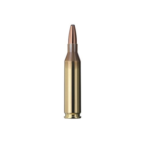 .243Win GECO Softpoint 105gr