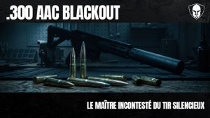 .300 aac blackout article