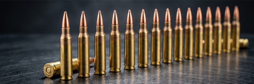 le guide ultime du .223 remington différences 5.56, balistique et rechargement
