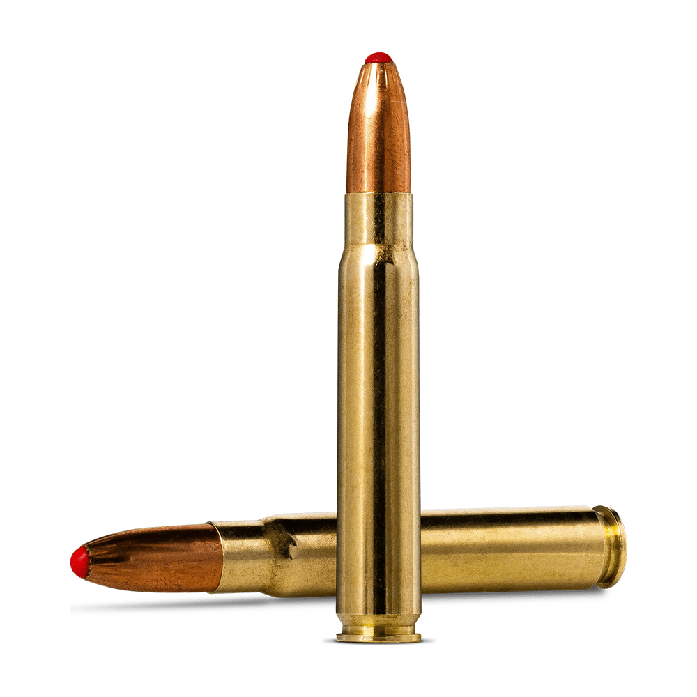 9,3x62 NORMA PLASTIC POINT 285gr
