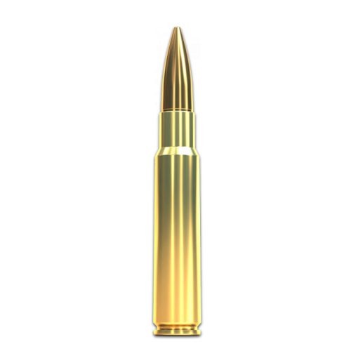 7,5×55 SWISS Sellier & Bellot FMJ 174gr